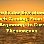 The particular Evolution of On the web Gaming: From Early on Beginnings to Current Phenomenon