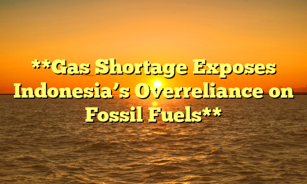 **Gas Shortage Exposes Indonesia’s Overreliance on Fossil Fuels**