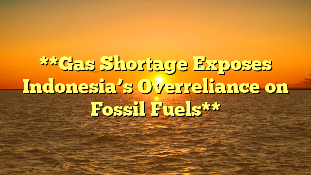 **Gas Shortage Exposes Indonesia’s Overreliance on Fossil Fuels**