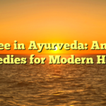 Lychee in Ayurveda: Ancient Remedies for Modern Health